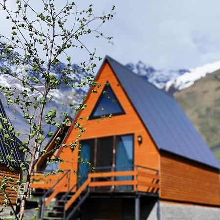 Kazbegi Compass Apartment Room photo